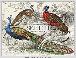 Блок для ескізів PB-GB-040-048 на склейці "Sketch" А5+, 100г/м2, 40 арк. MUSE
