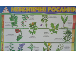Плакат "Небезпечнi рослини"