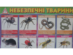 Плакат "Небезпечні тварини"