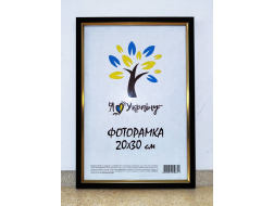 Фоторамка 20*30 коричнева з золотою вставкою Юг багет 1511 ДВП+скло б/н