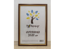Фоторамка 20*30 св.-коричнева з золотою вставкою Юг багет 1511 ДВП+скло б/н
