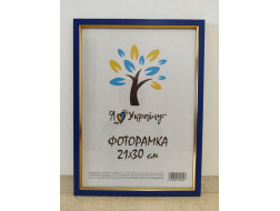 Фоторамка 21*30 синій з золотою вставкою Юг багет 1511 ДВП+скло б/н