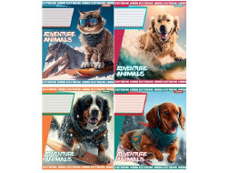 А5/18 кл. 1В Adventure animals, зошит учнів.