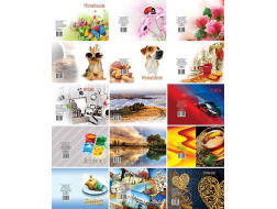 Блокнот А6 48арк # верт.спіраль ТЕ15220